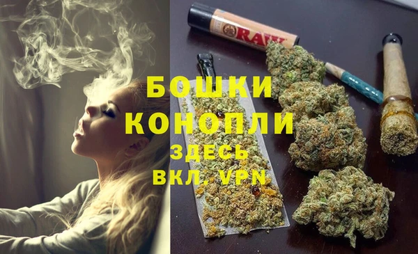 сатива Михайловка