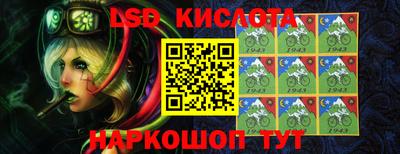 2c-b Кингисепп