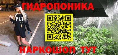 2c-b Кингисепп