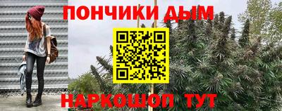 2c-b Кингисепп