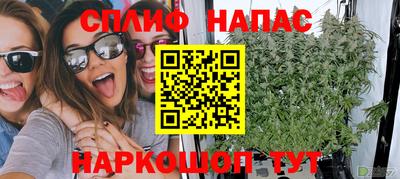2c-b Кингисепп