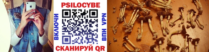 Псилоцибиновые грибы мухоморы  как найти закладки  Миллерово 