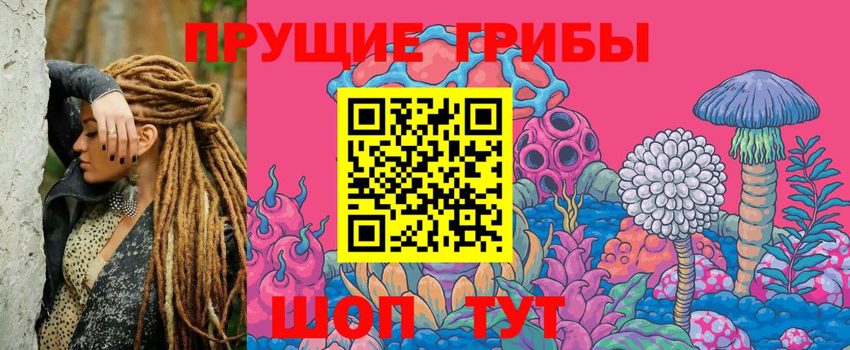 Миллерово  Псилоцибиновые грибы Magic Shrooms  Вход с VPN 
